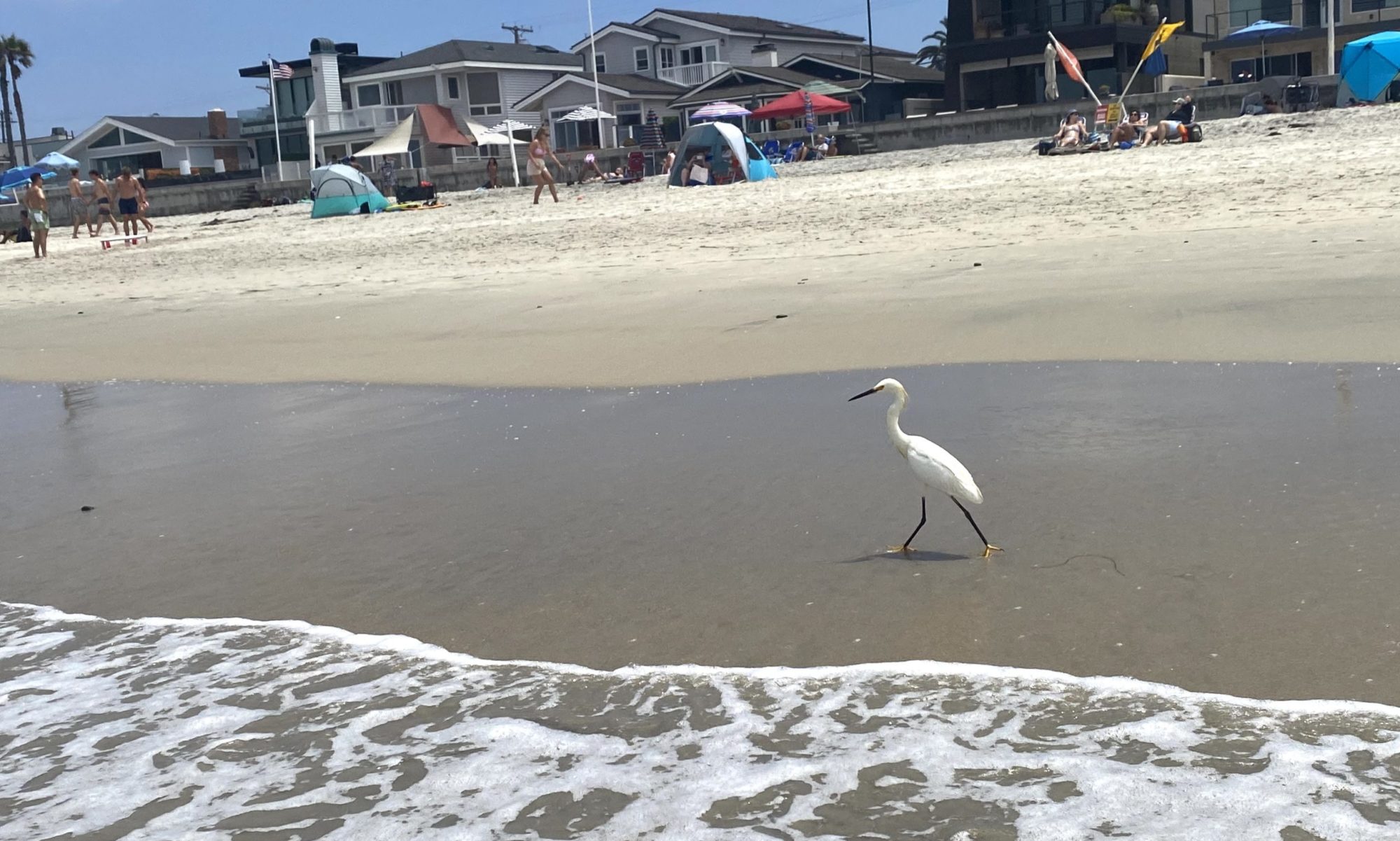 Del Mar beach at sunset